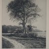 Ansicht 1