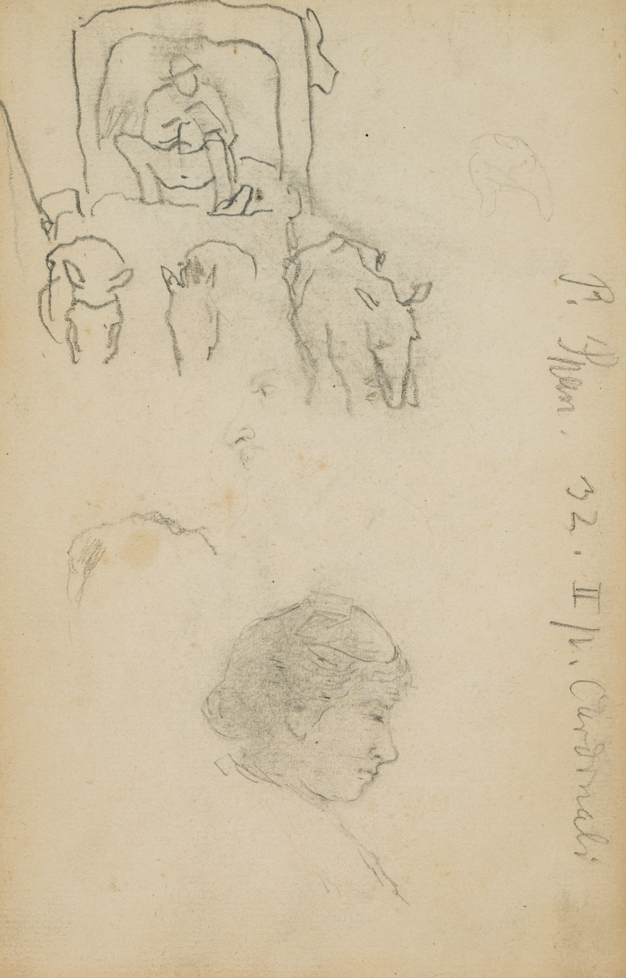 Skizzenhafte Figurenstudie, Kutscher