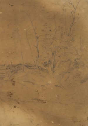 Waldstück mit Bäumen und Zaun