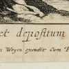 Ansicht 4