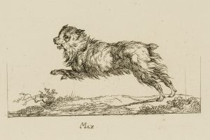 Max. Springender Hund