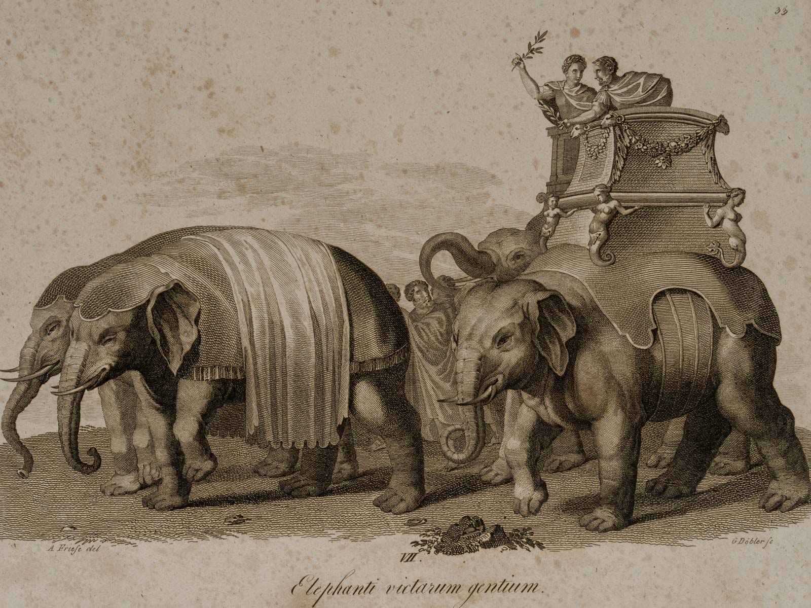 Elephanti victarum gentium