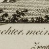 Ansicht 4