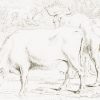Ansicht 4