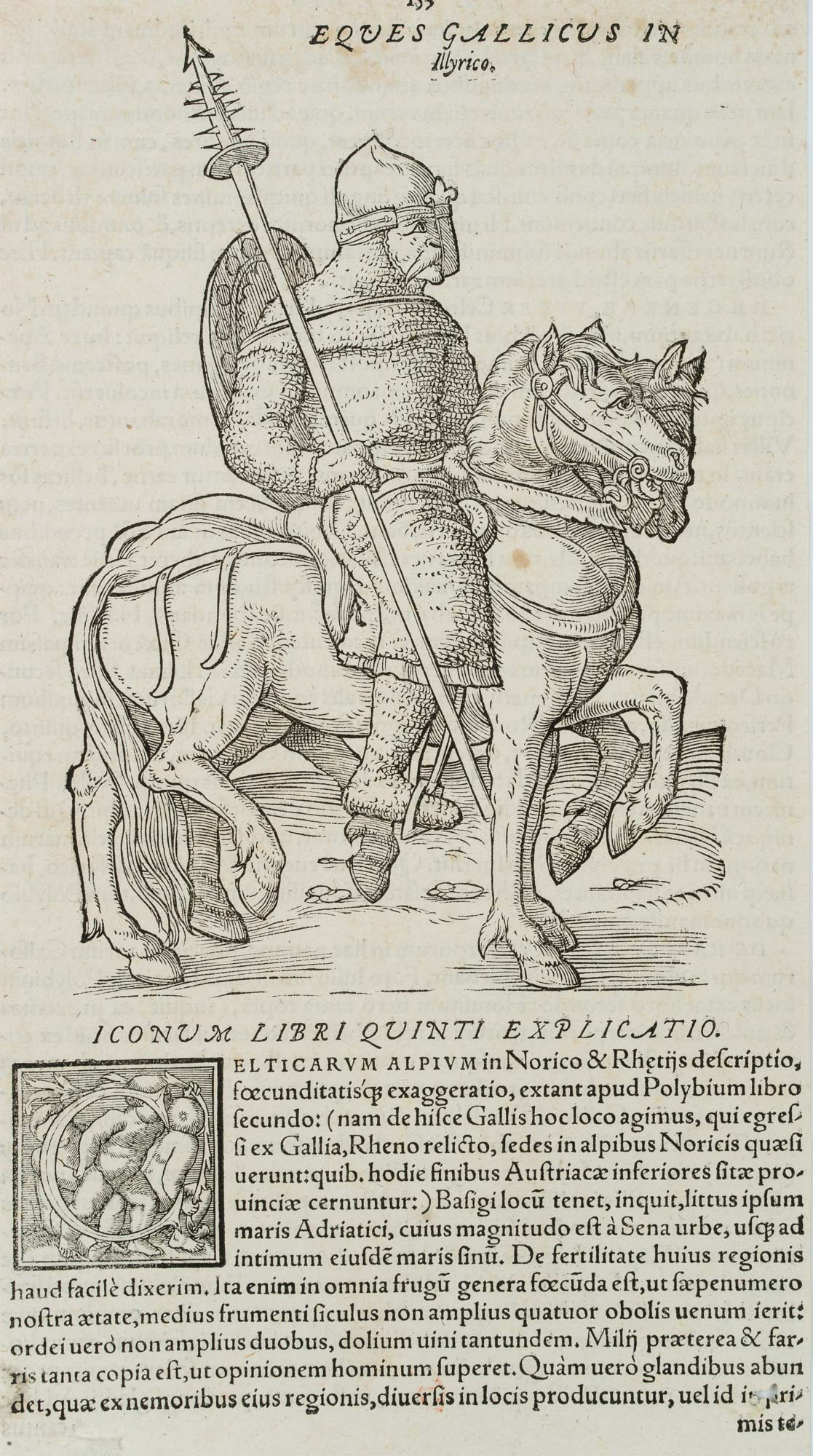Gallischer Ritter zu Pferde