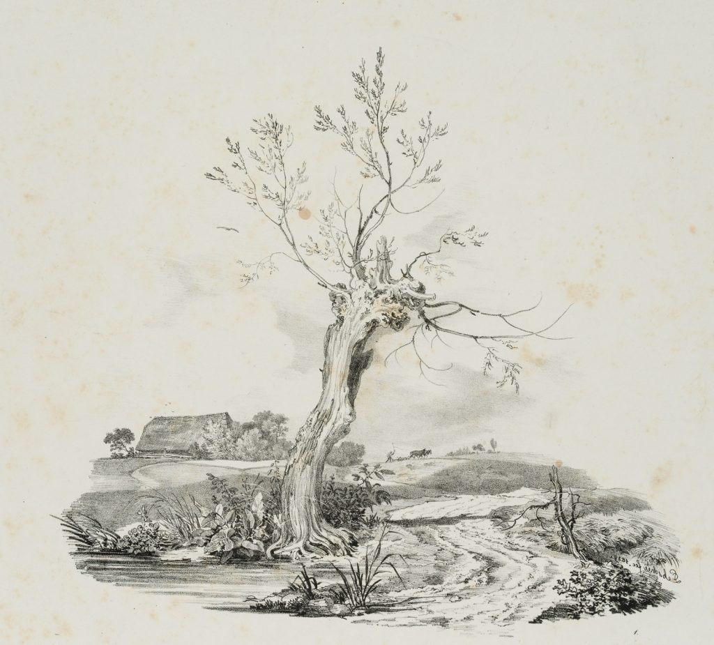 Werk von Carl August Lebschée