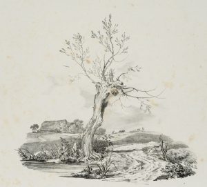 Landschaftsstudie mit kahlem Baum