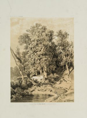 Eremitage am Weiher