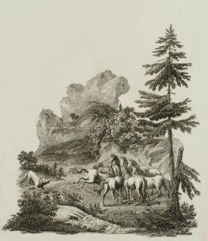 Pferde in der Landschaft
