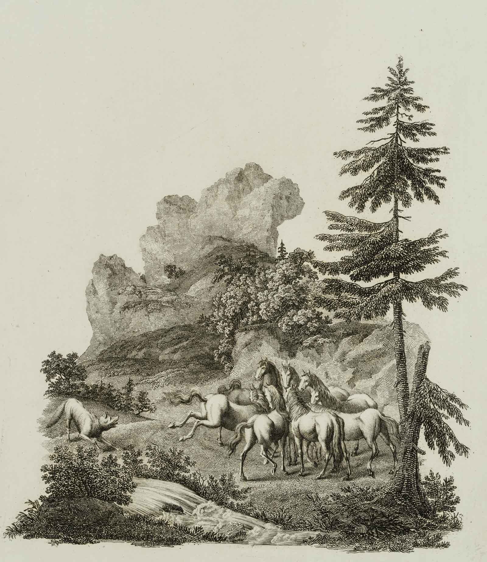 Pferde in der Landschaft
