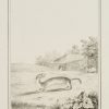 Ansicht 1