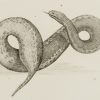 Ansicht 3
