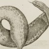 Ansicht 4