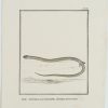 Ansicht 2