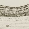Ansicht 3