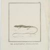 Ansicht 2