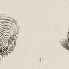 Ansicht 3