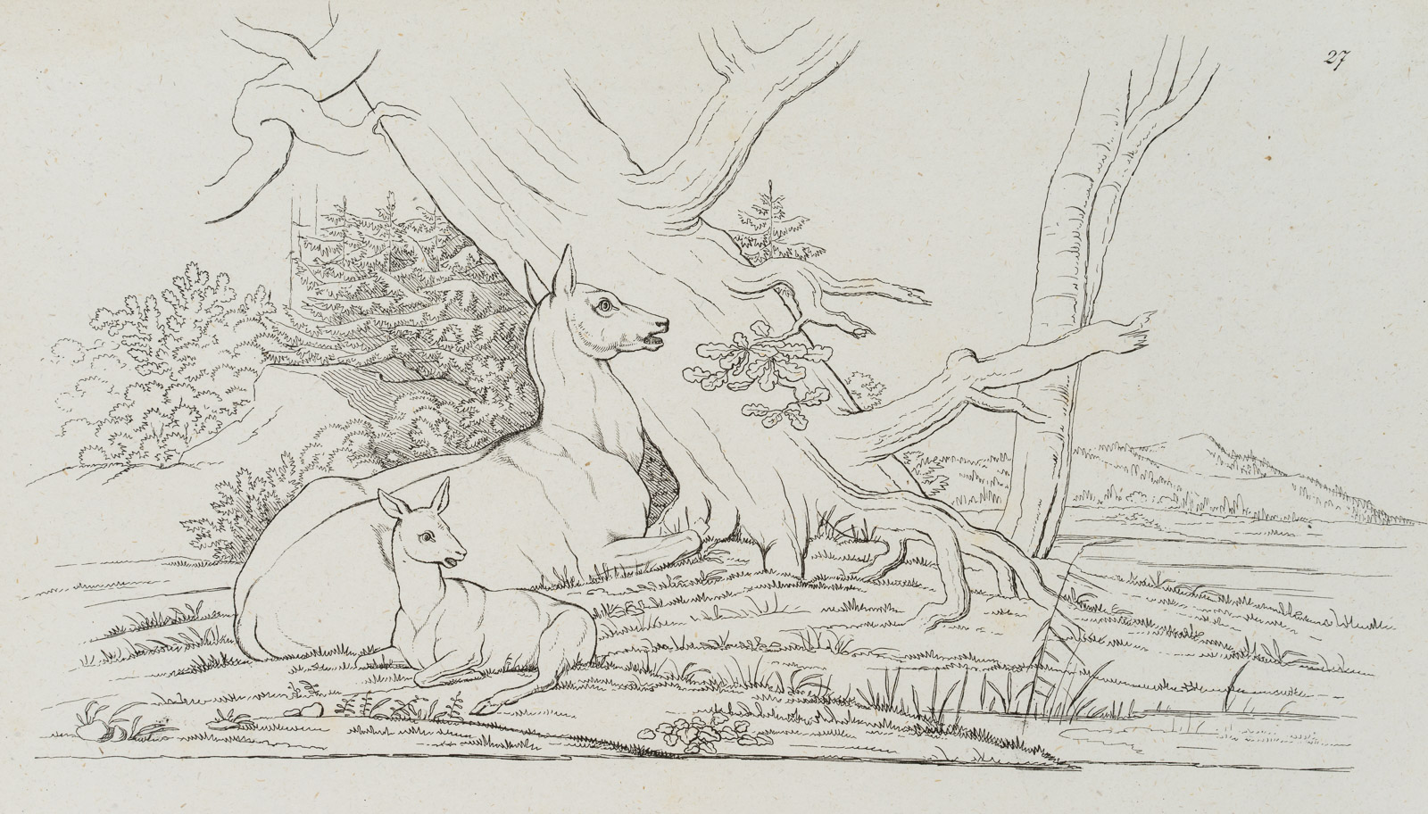 Vorlagenblatt, Rehe, Zeichenvorlage