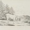 Ansicht 1