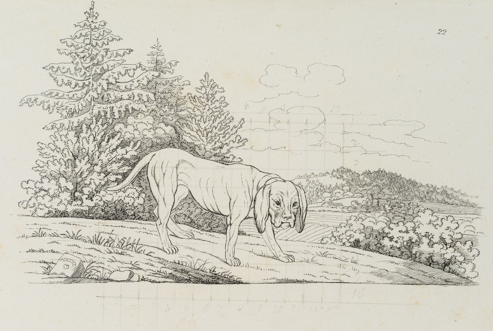 Vorlagenblatt, Hund, Zeichenvorlage