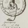 Ansicht 4