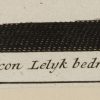 Ansicht 4