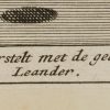 Ansicht 4