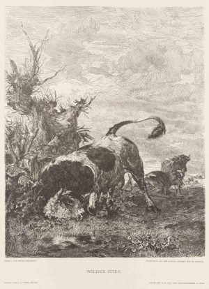 Tierdarstellung. Wilder Stier