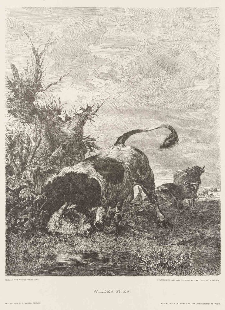 Werk von Theodor Knesing