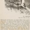 Ansicht 4