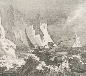 Seehundjagd in Grönland