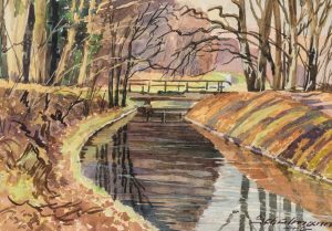 Fluss im Wald mit Brücke
