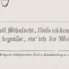 Ansicht 4