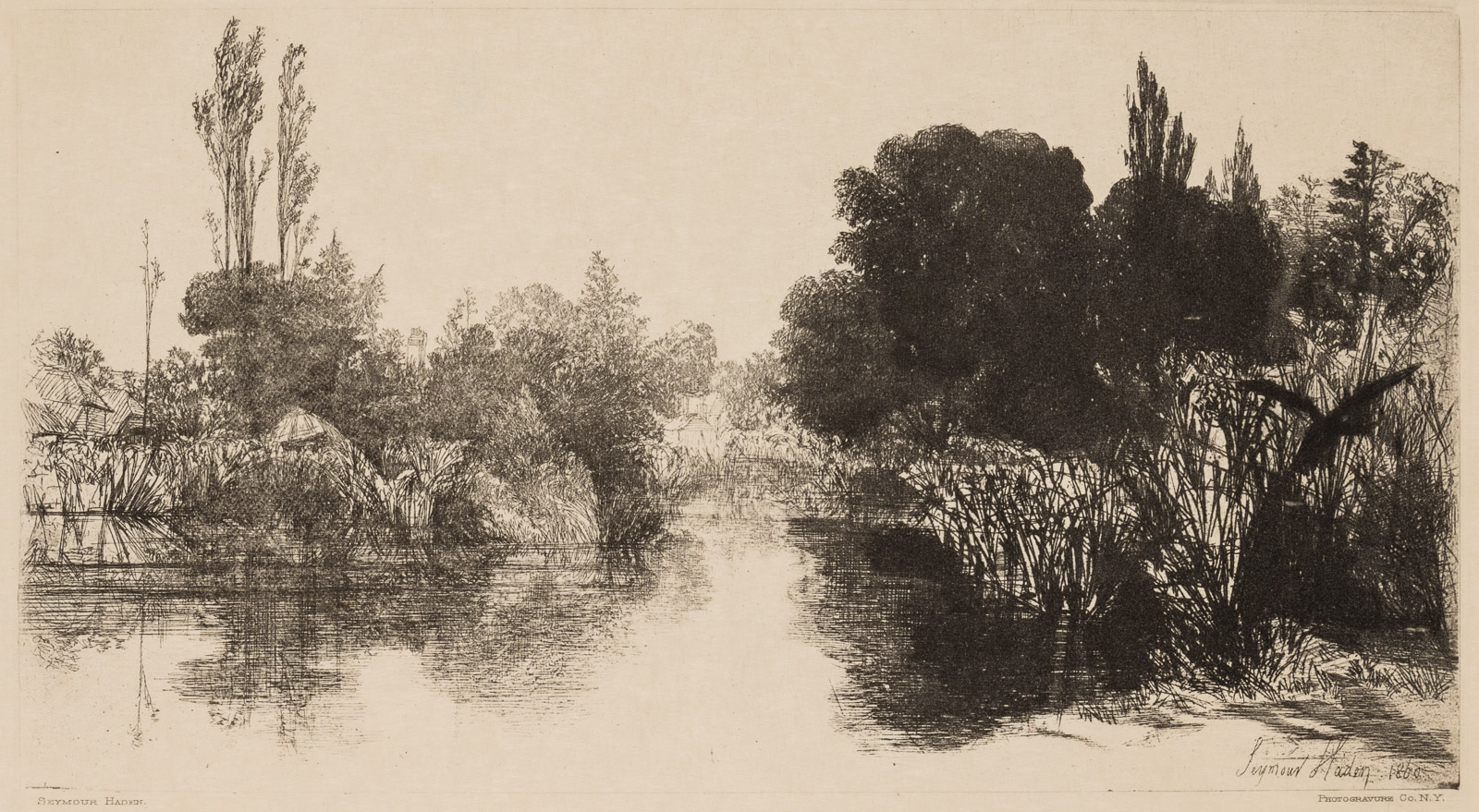 Shere Mill Pond