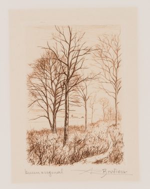 Winterlandschaft mit kahlen Bäumen