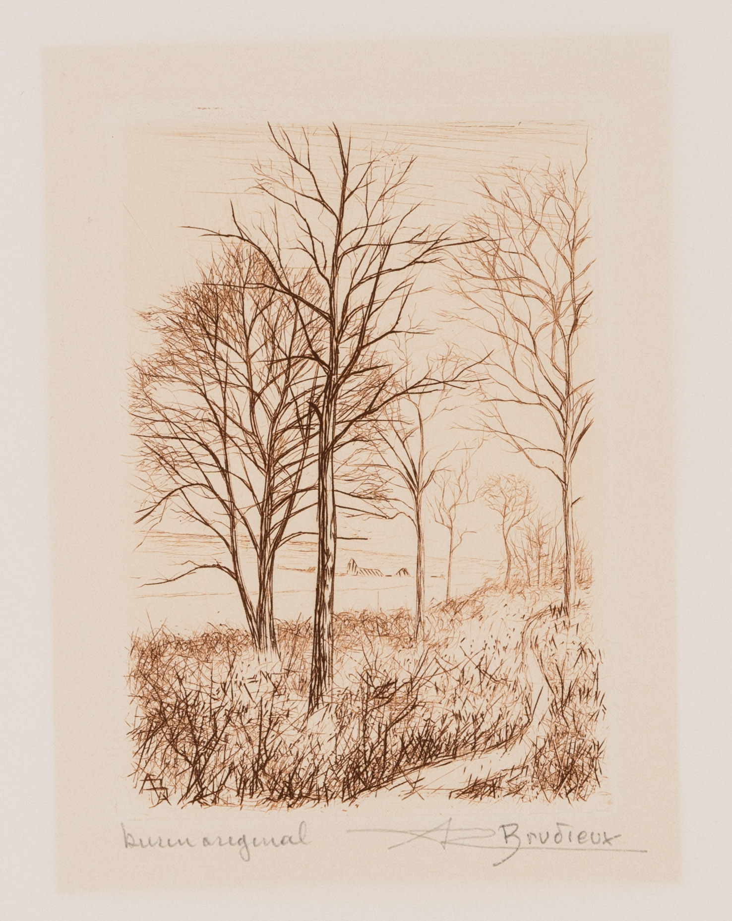 Winterlandschaft mit kahlen Bäumen