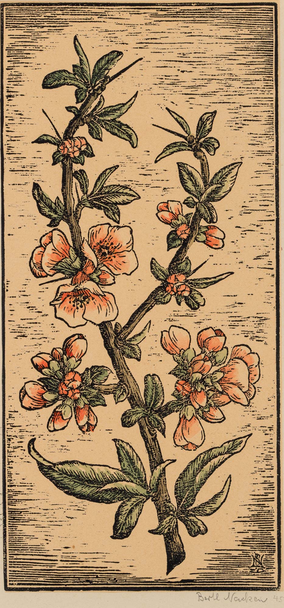Blühender Zweig