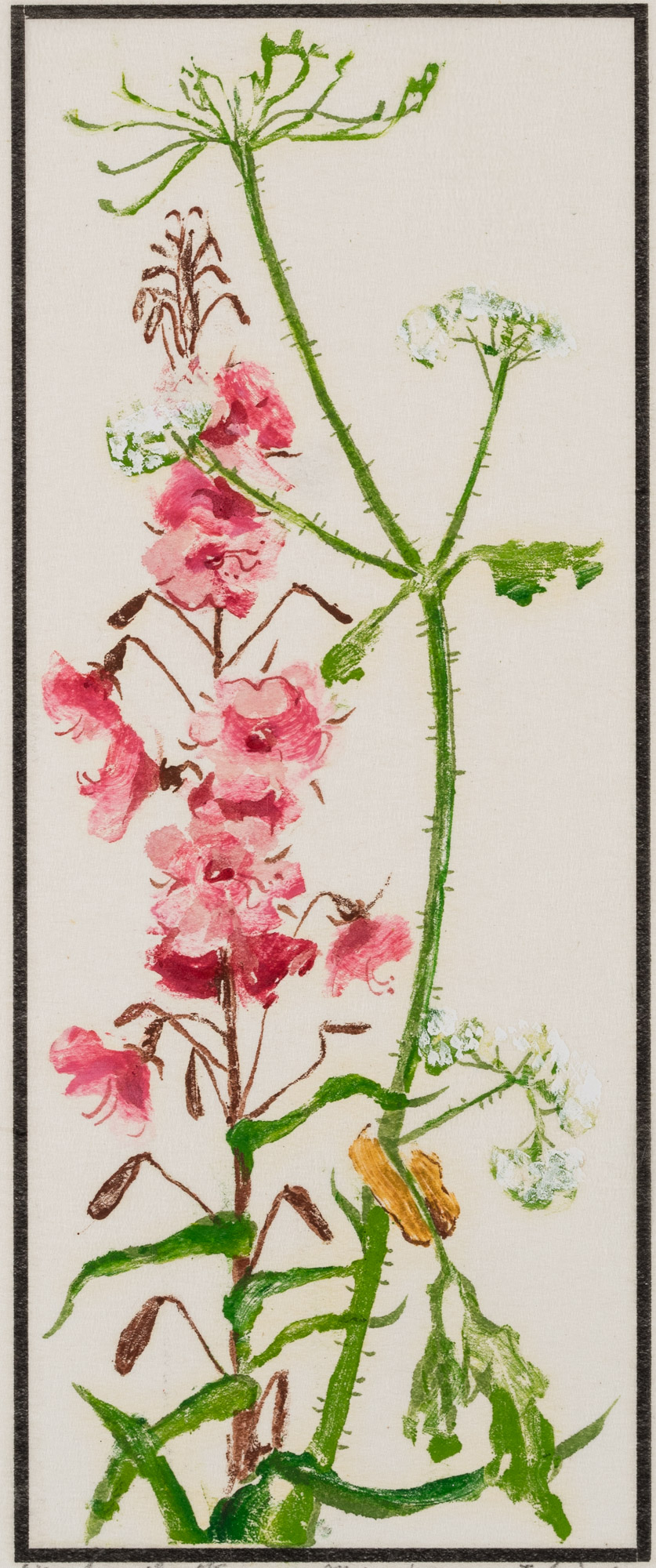 Weidenrösschen, Blumenstudie