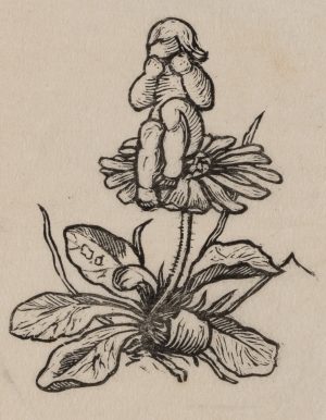 Mädchen auf einer Blüte sitzend