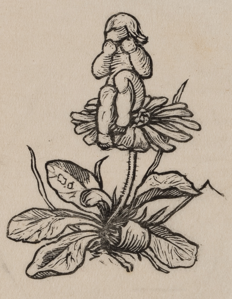 Mädchen auf einer Blüte sitzend