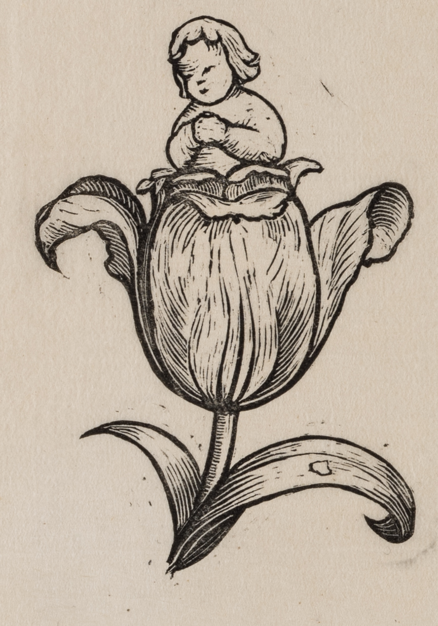 Mädchen von einer Tulpe getragen