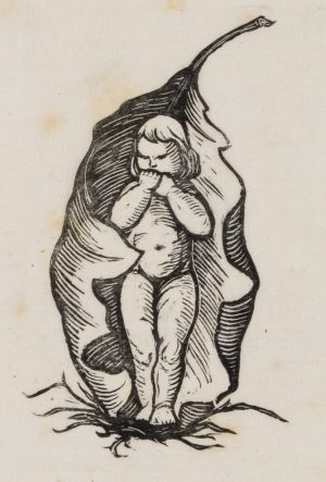 Mädchen umhüllt in ein Blatt
