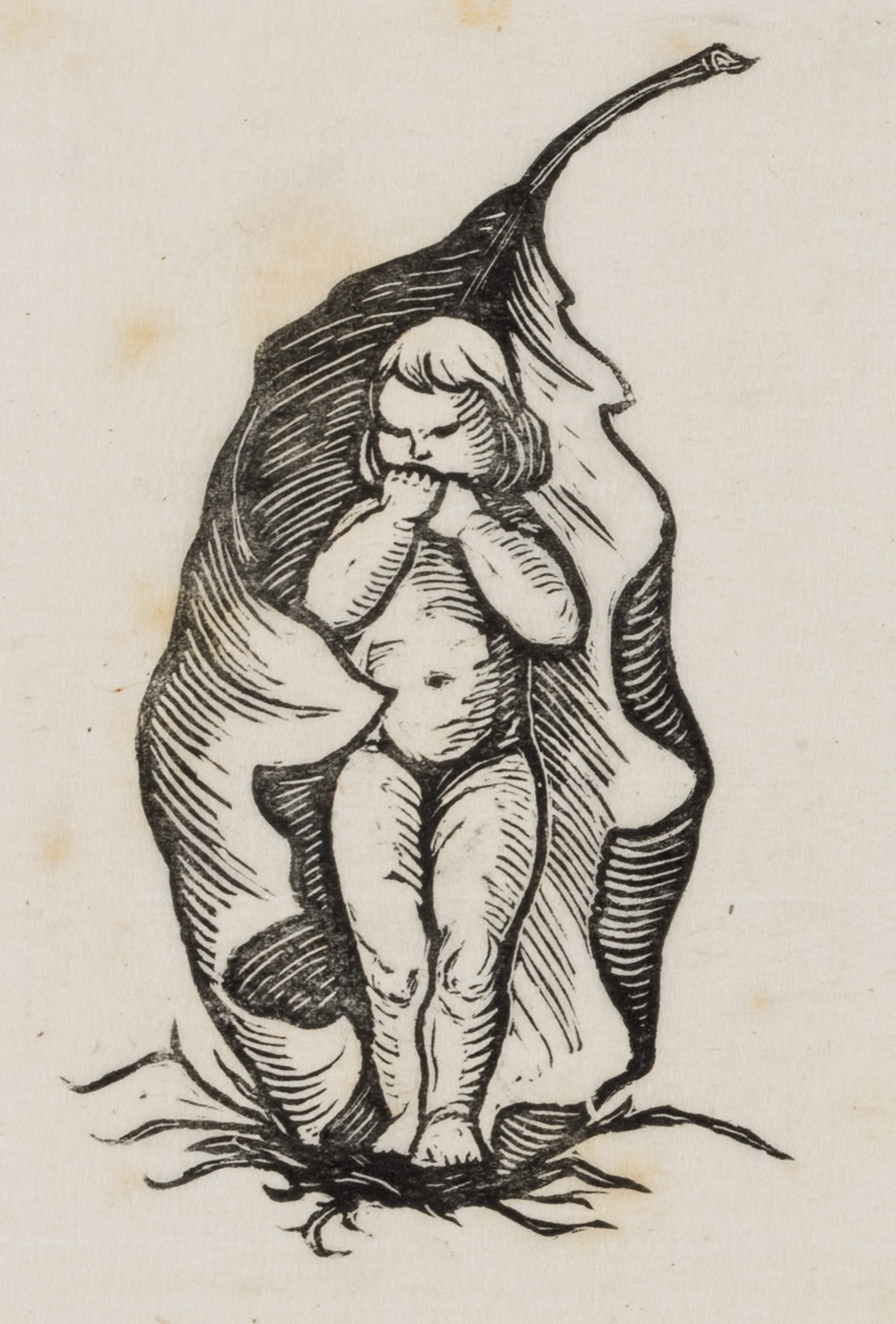 Mädchen umhüllt in ein Blatt