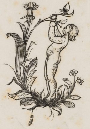 Mädchen zu den Blumen sprechend