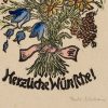 Ansicht 4