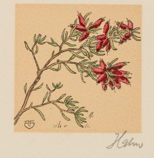Blühender Zweig mit roten Blüten