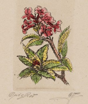 Zweig mit rosafarbenen Blüten