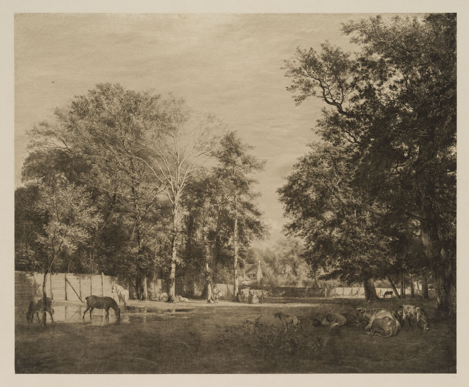 Landschaft mit weidenden Pferden
