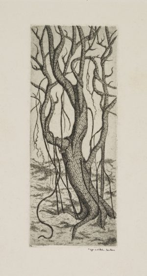 Gehölz mit Lianen, um 1940