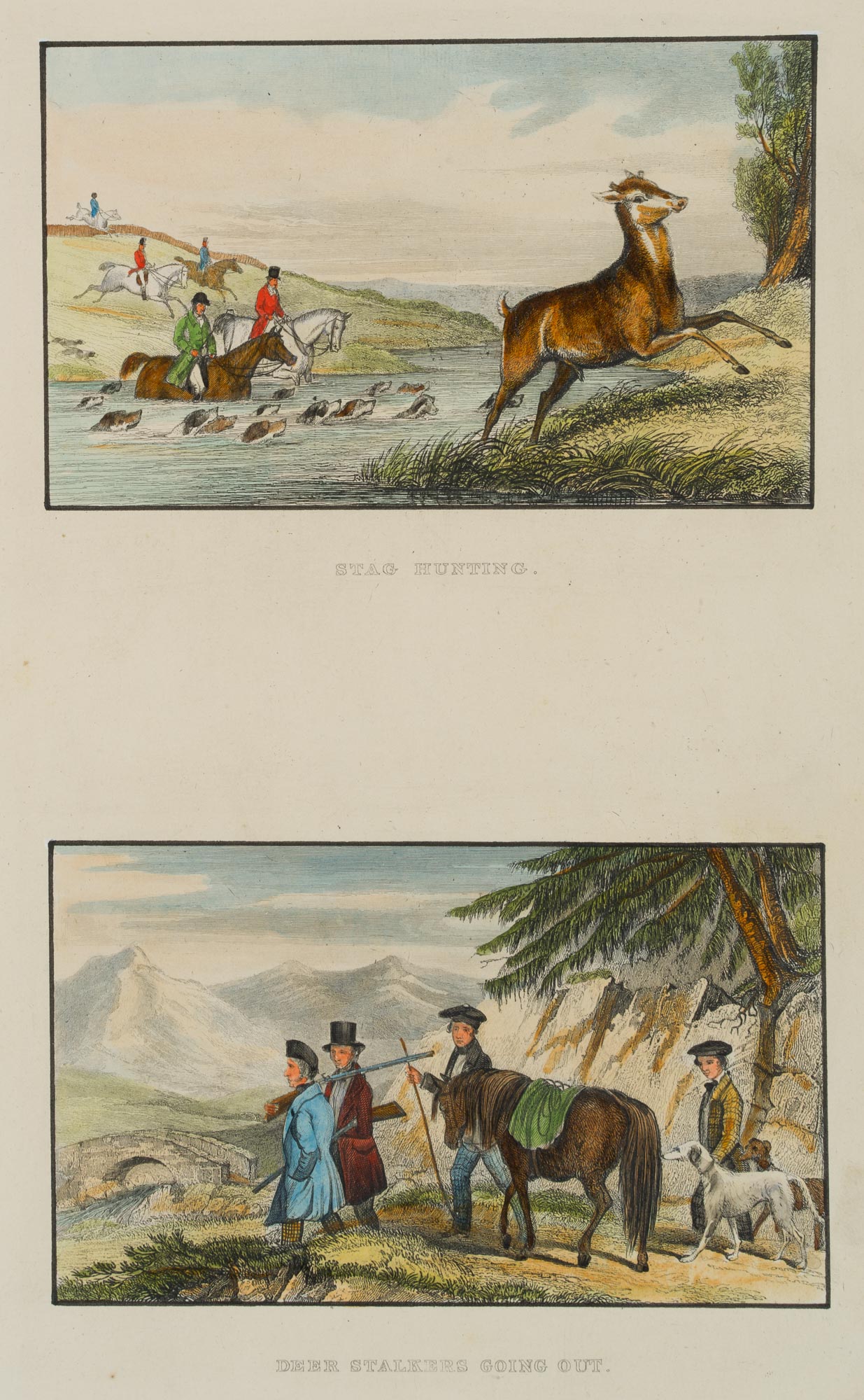 Hirschjagd, Highlands, Jagd